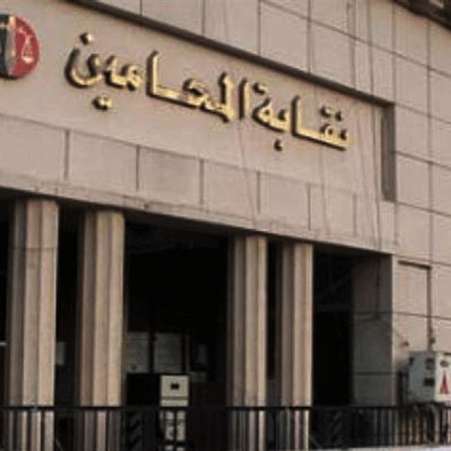 : «المحامين» تعلن تأييدها لإجراءات القوات المسلحة ضد  داعش