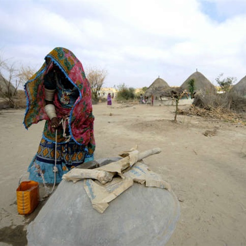 : نيجيريا تقدم مساعدات غذائية ضخمة لناميبيا للإغاثة من الجفاف