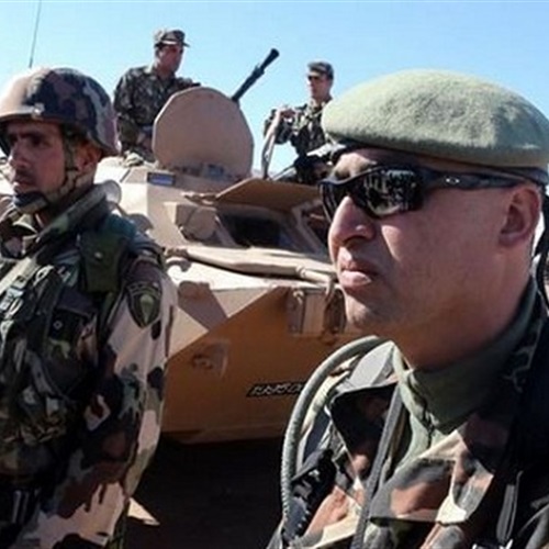 : توقعات بتزايد حجم الإنفاق العسكري في الجزائر