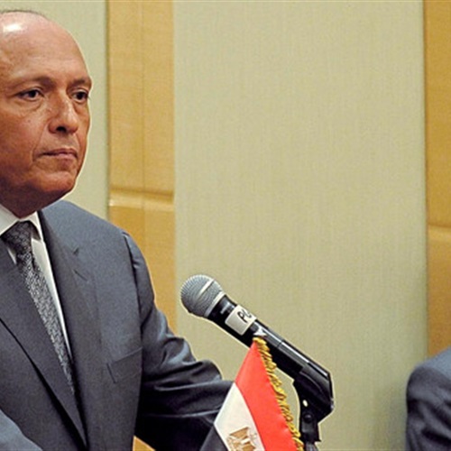 : مصر تدافع عن الضربات الروسية ضد الإرهابيين في سوريا