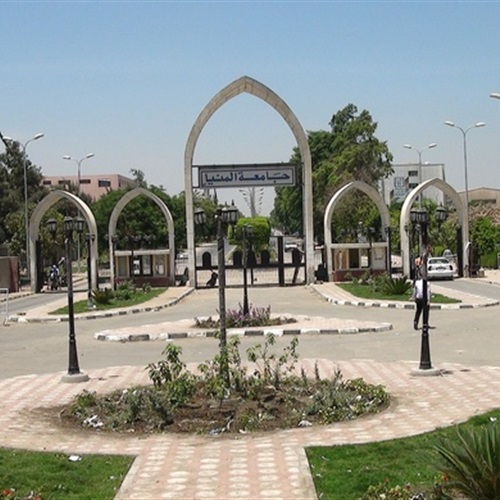   جامعة المنيا تقرر سداد رسوم طلابها من خلال مكاتب البريد