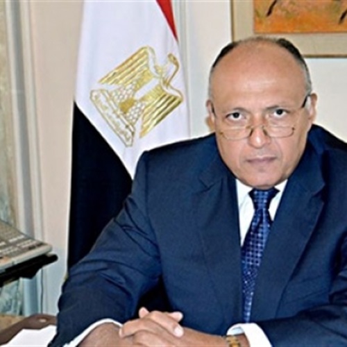 : وزير الخارجية يلتقي نظيره الأمريكي جون كيري في فندق بمصر الجديدة
