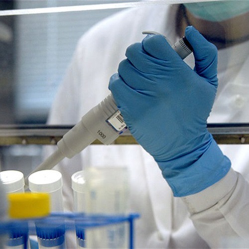 : علماء تايلانديون يعلنون التوصل إلى لقاح  أكثر فعالية  لقتل فيروس الإيبولا القاتل