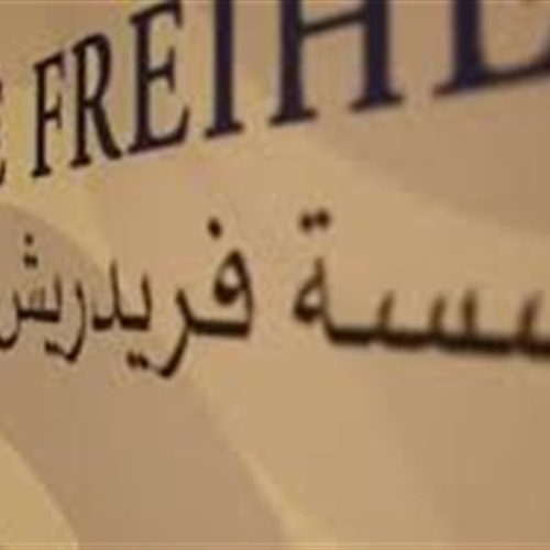 : «فريدريش ناومان»: حرية الرأى في مصر تمر بمرحلة مثيرة