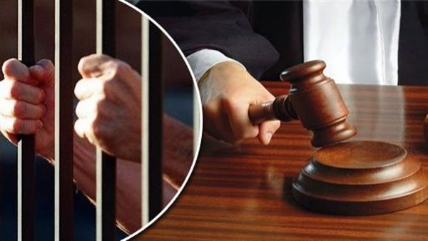 حبس متهمين بتزوير رخص السيارات ومحررات رسمية ببولاق أبو العلا