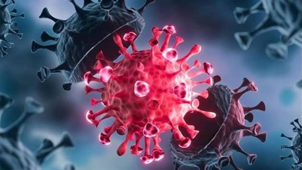 دراسة تكشف علاقة انتشار فيروس كورونا بالأغذية المعدلة وراثيا
