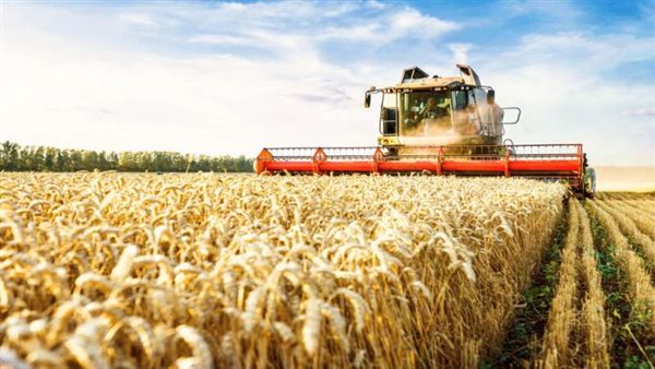 روسيا: لا يوجد حتى الآن قرار بشأن تمديد صفقة الحبوب