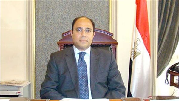 الخارجية: إطلاق مفوضية اقتصادية بين مصر وأمريكا خلال الربع الأول من 2023