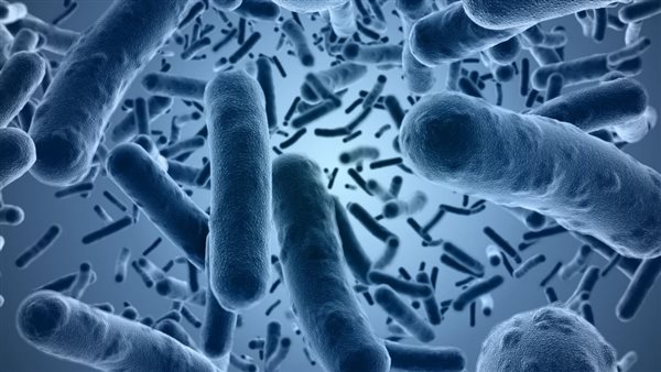 علماء: أنواع من البكتيريا تتغذى على مواد بلاستيكية