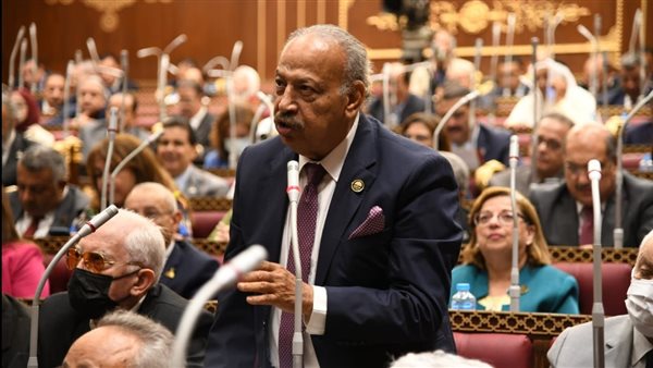 برلماني: الرئيس يضع أولوية لتغيير واقع الريف المصري بإتمام مراحل حياة كريمة