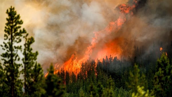 إخلاء أربع قرى في اليونان جراء اندلاع حريق مروع في جزيرة كريت