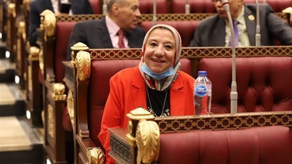 برلمانية تشيد بالدور المصري والصمود الفلسطيني في اليوم العالمي للتضامن مع فلسطين