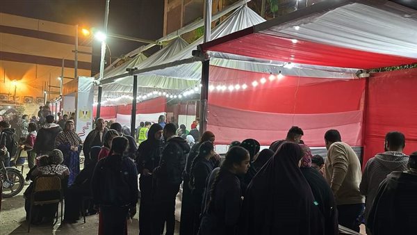  الانتخابات الرئاسية.. التنسيقية: تزايد نسبة الإقبال في طنطا قبل غلق باب التصويت