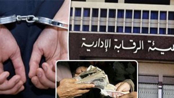 اليوم.. الجنايات تواصل محاكمة المتهمين بقضية فساد التموين