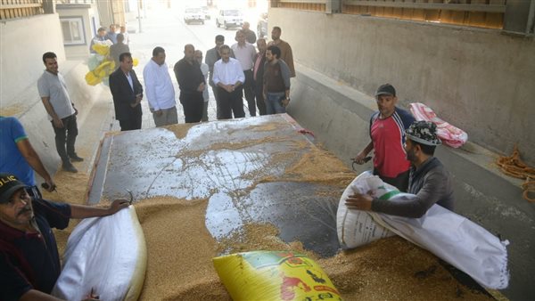 محافظ الغربية يتفقد المواقع التخزينية لمتابعة أعمال توريد القمح بكفر الزيات