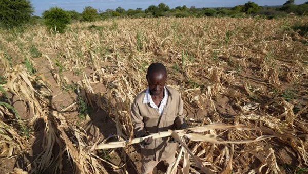 الجفاف يدفع الملايين إلى "الجوع الحاد" في الجنوب الأفريقي