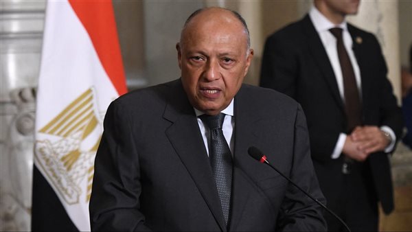 مصر تأسف لعجز مجلس الأمن عن تمكين دولة فلسطين من الحصول على عضوية الأمم المتحدة