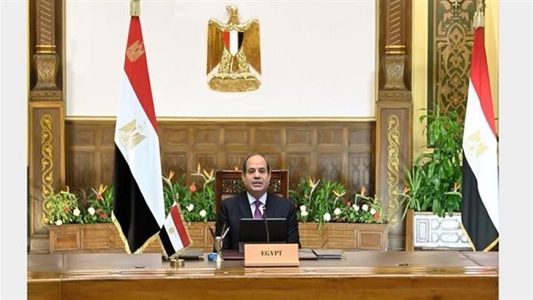 توافق مصري هولندي على وقف إطلاق النار بغزة وإنفاذ حل الدولتين