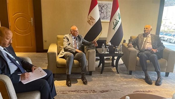 وزير الري يناقش مع نظيره العراقي سبل التعاون المشترك