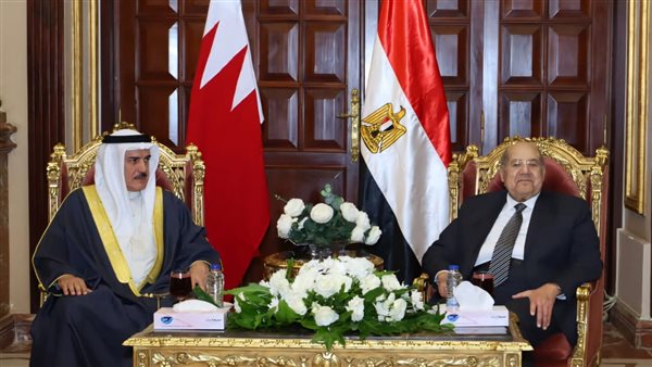 "عبد الرازق" يستقبل رئيس مجلس النواب البحرينى