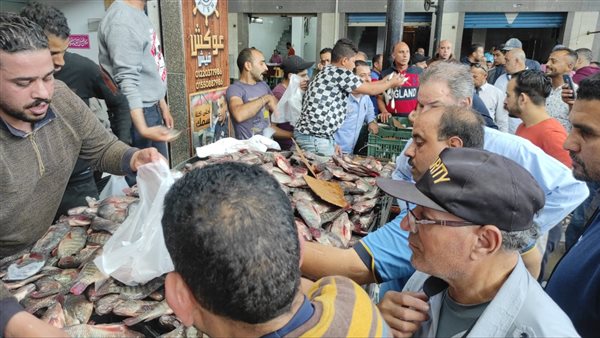 بعد نجاح اجتماع الغرفة.. تجار بورسعيد يخفضون أسعار الأسماك بنسب وصلت إلى 50%
