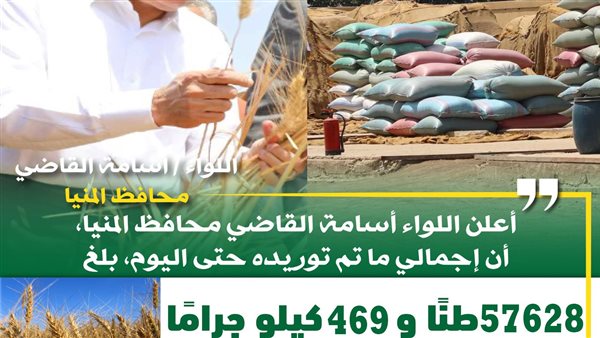 شون وصوامع المنيا تستقبل 57 ألف طن من محصول القمح لموسم حصاد 2024