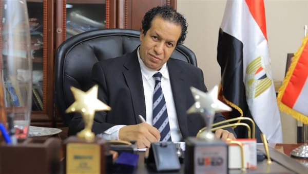 شعبة المستوردين: تعديل النظرة الإيجابية للاقتصاد المصري فرصة ذهبية 