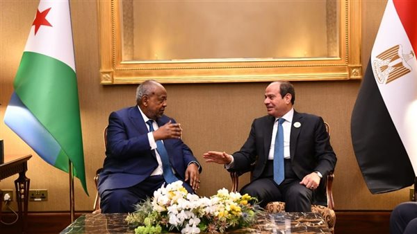 السيسي ورئيس جيبوتي يشددان على أهمية حماية الأمن والاستقرار بمنطقة القرن الأفريقي