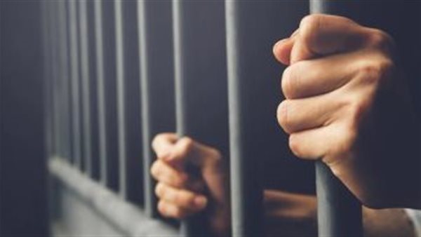 السجن المؤبد لعاملين بتهمة الاتجار في المواد المخدرة بالشرقية 