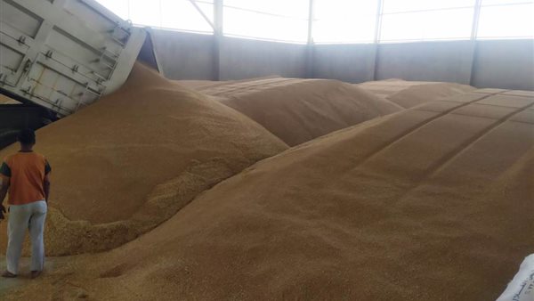 محافظ أسوان: توريد 225 ألفًا و427 طنًا من القمح حتى الآن