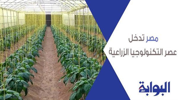 Agriculture Blog مواسم الزراعة فى مصر