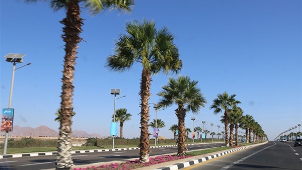 : حالة الطقس بجنوب سيناء.. مائل للحرارة والعظمى في شرم الشيخ 30