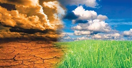 البيئة: إستراتيجية وطنية لتغير المناخ تنتهي خلال 7 أشهر